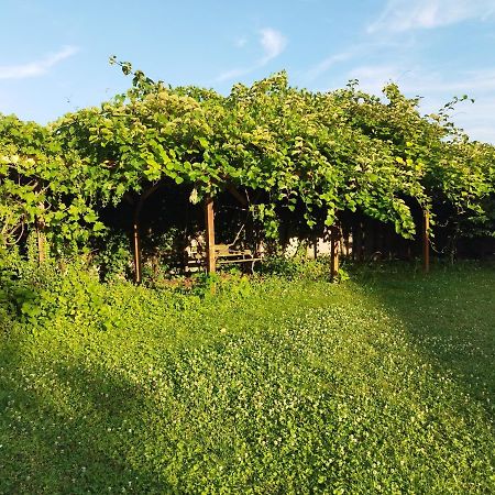 River Side - Cosy - Lot Of Space Huningue Exteriér fotografie