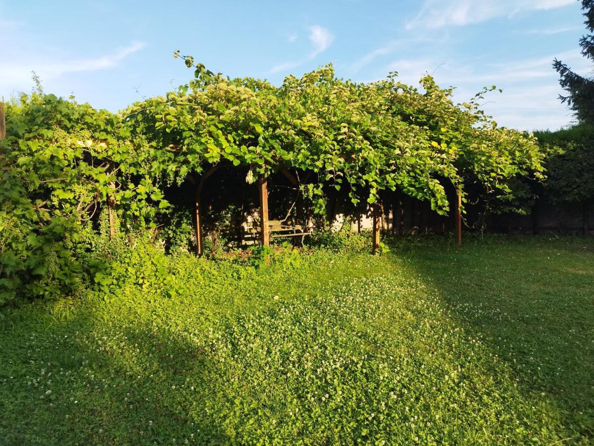 River Side - Cosy - Lot Of Space Huningue Exteriér fotografie